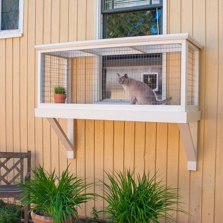 Existen los patios para gatos y se llaman catios