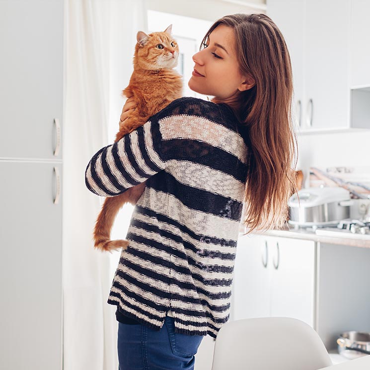 Razones científicas por las que los gatos también son el mejor amigo del ser humano