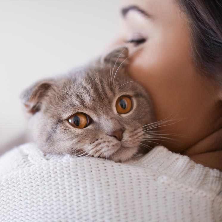 Aunque se haga el distraído, la ciencia sabe que tu gato conoce su nombre