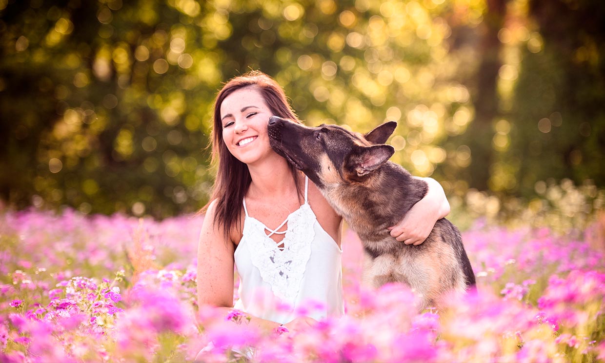 Mascotas: Estas son las razas de perro más amorosas - Foto 1