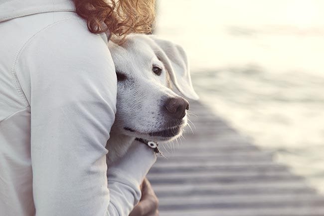 abrazar a tu perro les da ansiedad