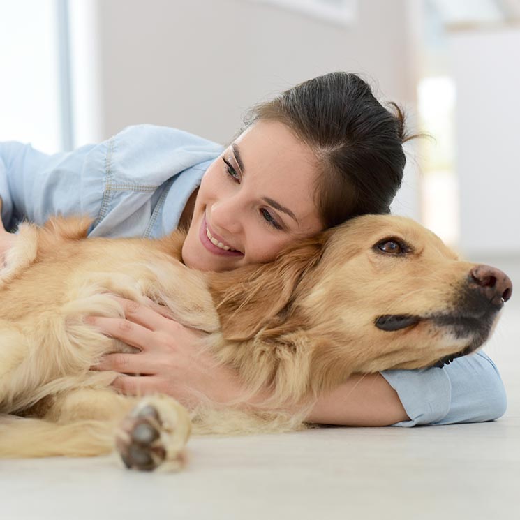 Contra la tensión, abraza a tu perro