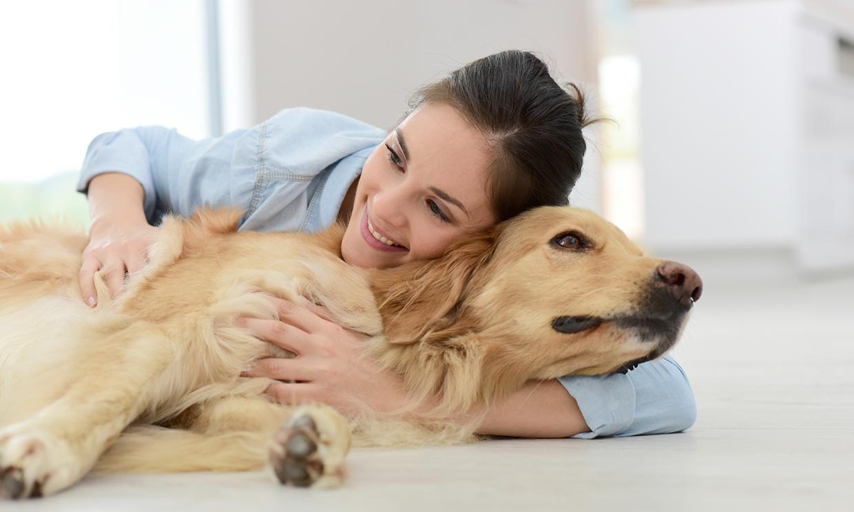 Ansiedad: Contra la tensión, abraza a tu perro