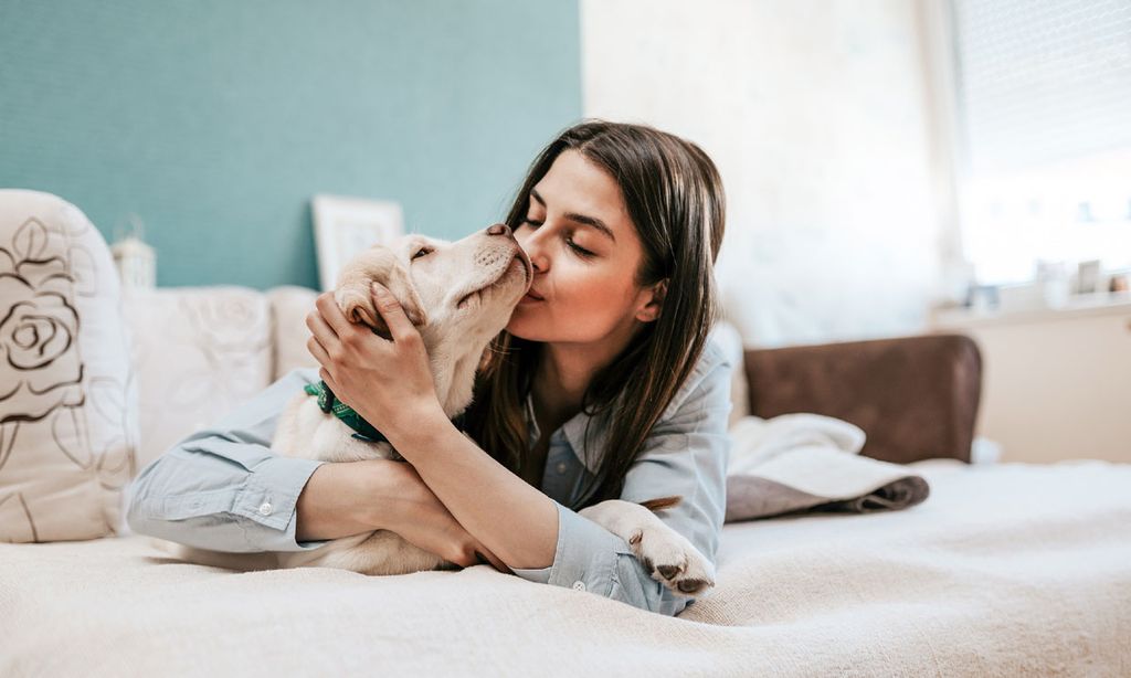 por qué amamos tanto a nuestros perros