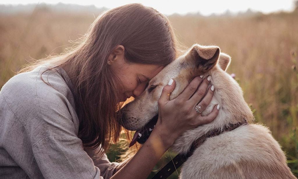 por qué amamos tanto a nuestros perros