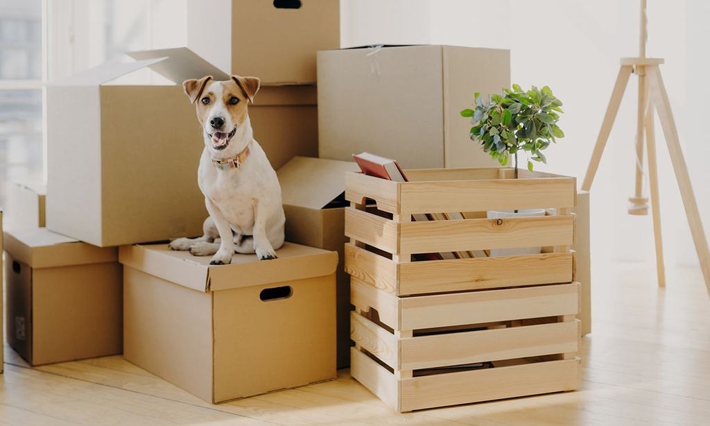 ¿Es legal prohibir mudarse a una casa con tu mascota?