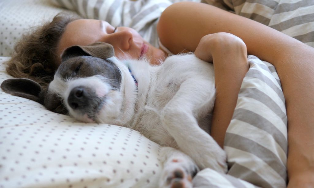 de qué lado se supone que debes pasear a tu perro