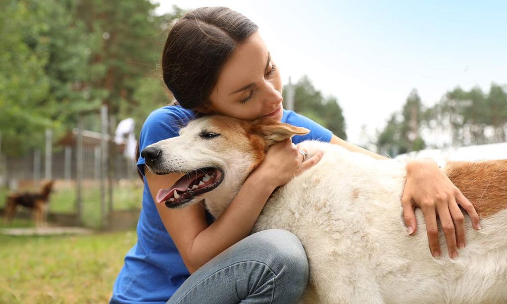 a los perros les gustan los besos y los abrazos