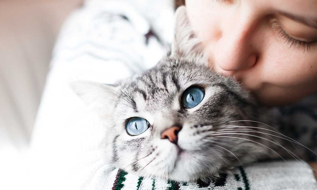 Chica besando a su gato