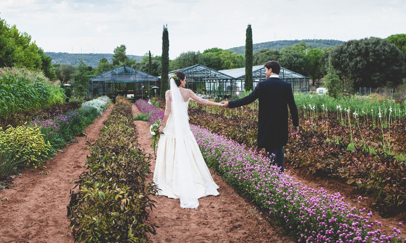 Invernaderos para bodas