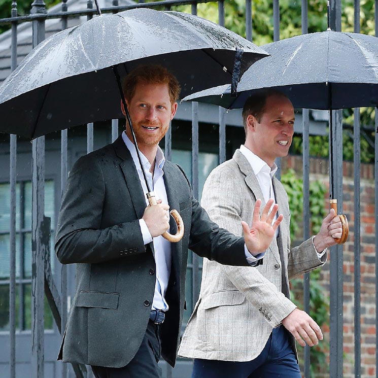 ¡Se avecinan cambios en Kensington! La razón por la que Harry y su hermano separarán sus caminos en 2019