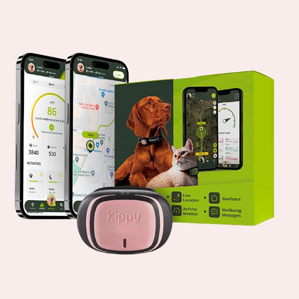 Los mejores collares GPS para perros y gatos del mercado