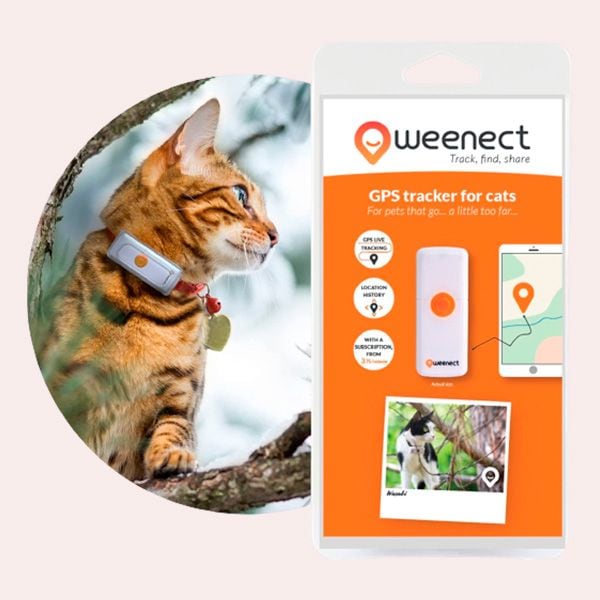 Descubre la rutina de tu mascota con este GPS especial para gatos 
