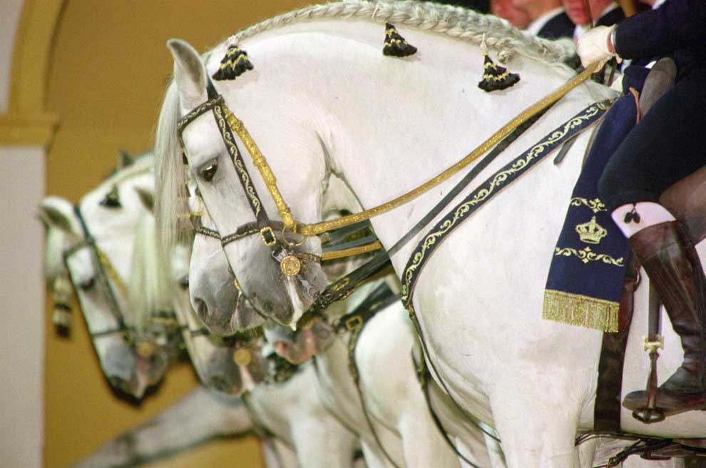 ¿Te apuntas a la Feria del Caballo de Jerez?