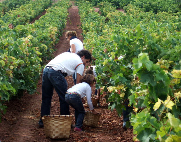 Enoturismo-Rioja