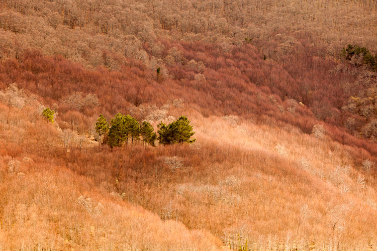 Sierra-Gata-Caceres