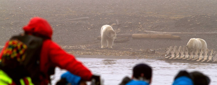 Hurtigruten--crucero_spitsbergen