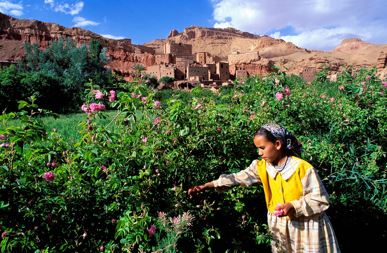 Долина роз Марокко