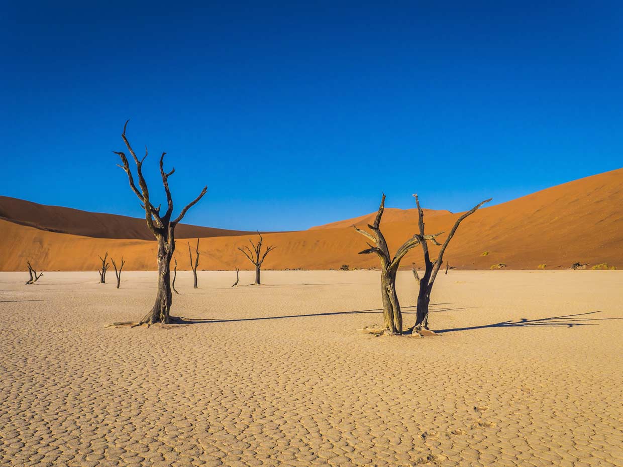 Засушливая пустыня