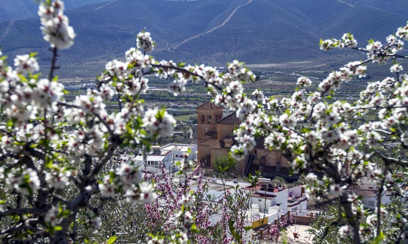 almería-alpujarras