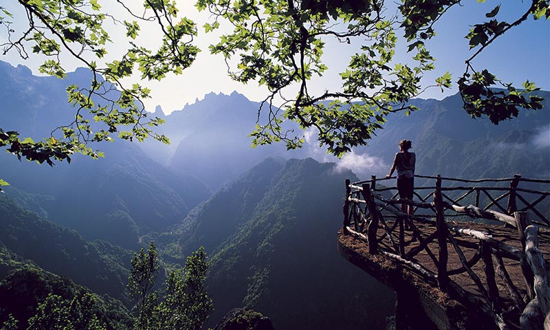 Resultado de imagen de madeira