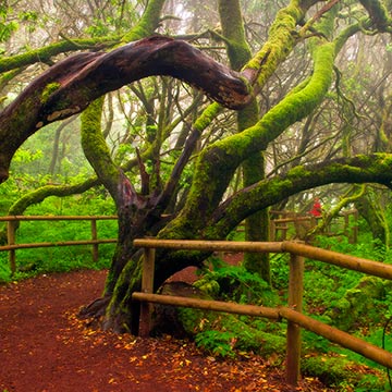 ¡Estrenamos estación! Otoño en 12 paisajes imprescindibles