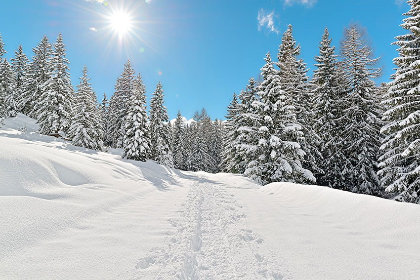 salzburgo-Winterlandschaft