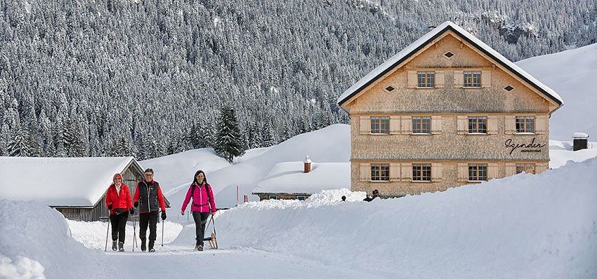 Vorarlberg-niveaustria