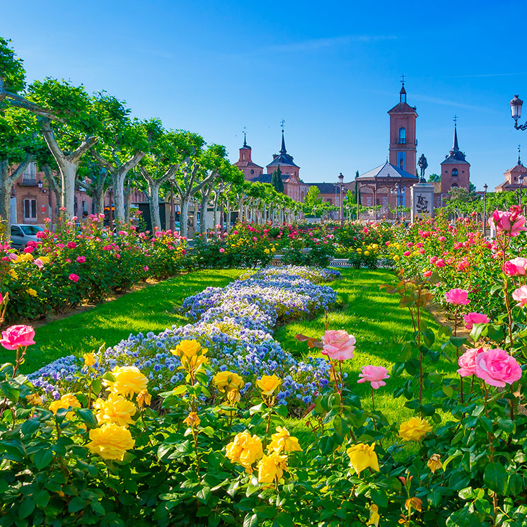 Ideas para un día de primavera en Alcalá de Henares 