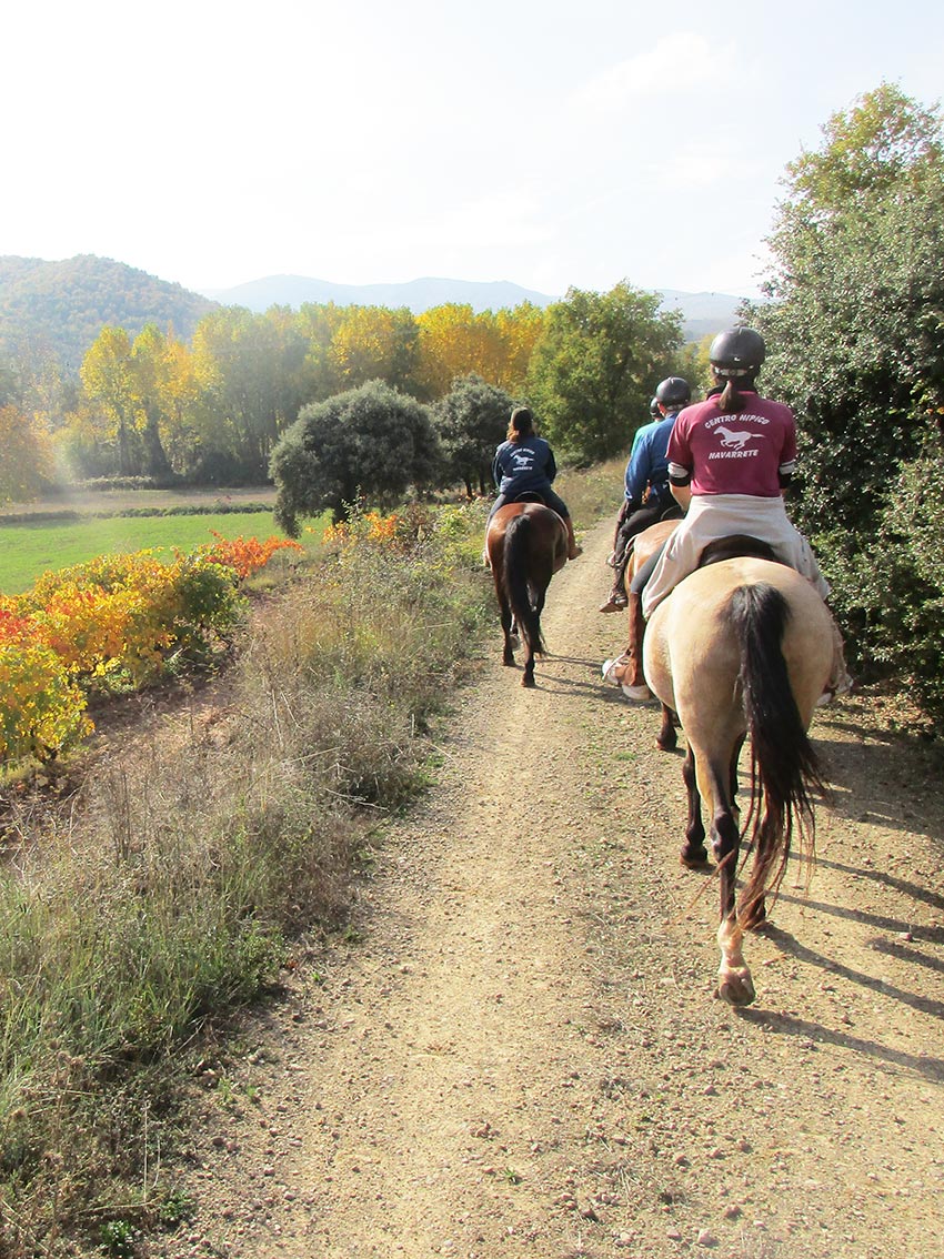 vinedos-caballo-5a