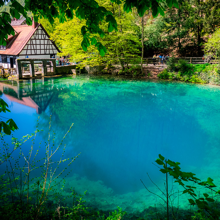 Los espacios naturales más fascinantes de Alemania - Foto 1