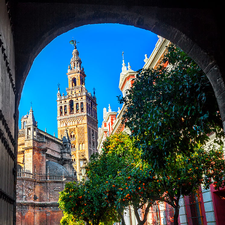 Una catedral para una boda que ha revolucionado la capital sevillana