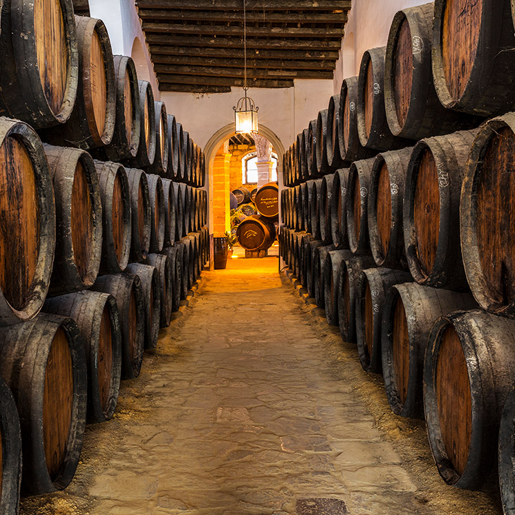 Arriba 96+ Foto mejores bodegas para visitar en jerez de la frontera El último