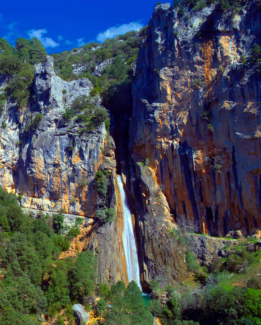 Álbumes 31+ Foto parque nacional sierra de órganos fotos El último