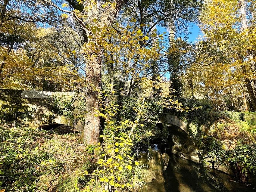 La Senda De Los Mil Colores, La Ruta Del Otoño En Salamanca - Foto 1