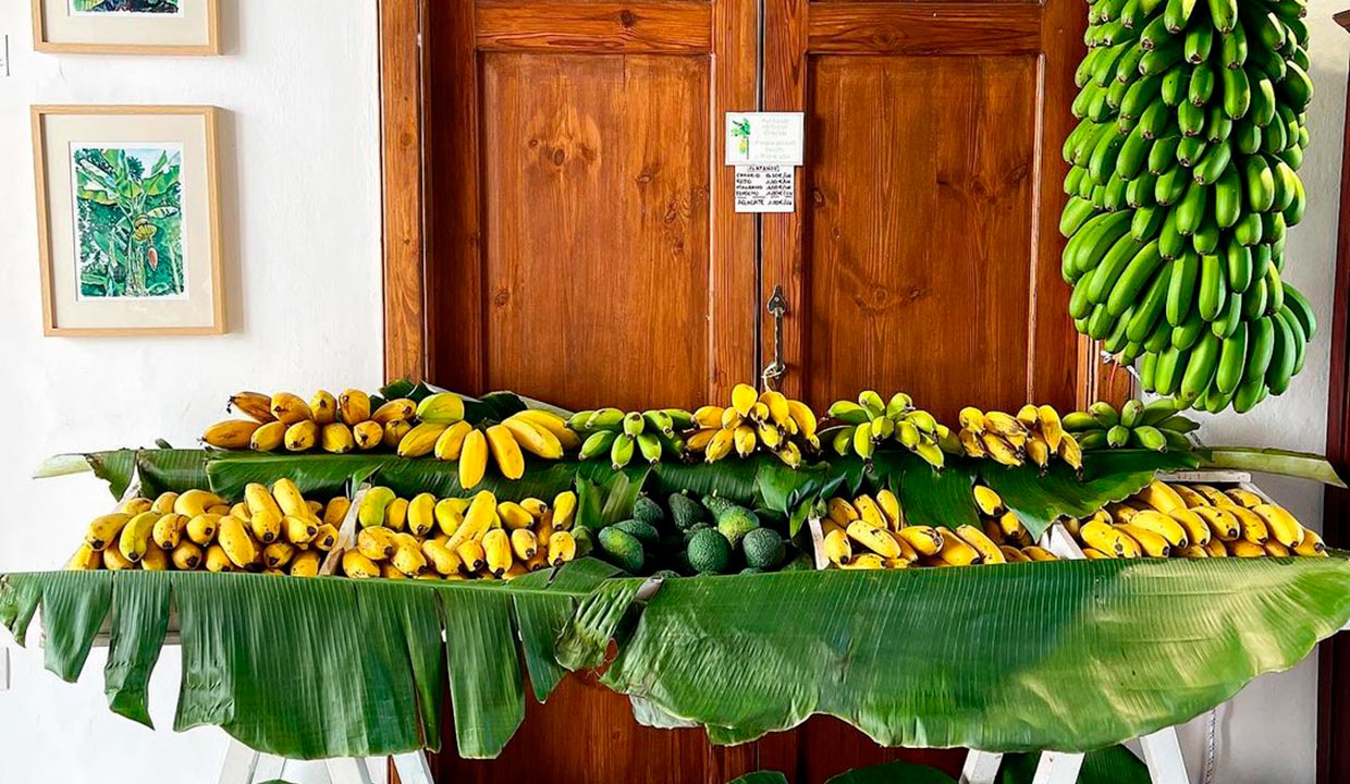 Museos gastronómicos de España: próxima parada ‘gastro’ en tu escapada