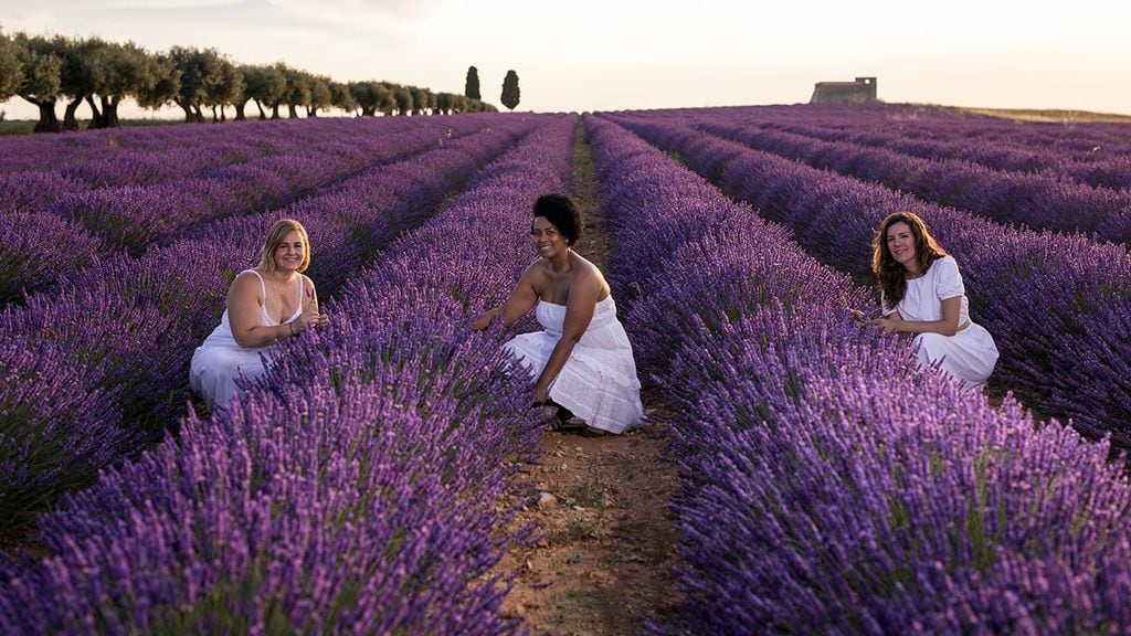 El festival de lavanda en la Alcarria madrileña que seguro no conoces