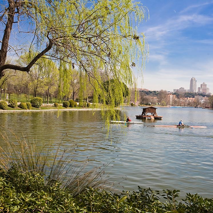 Los mejores planes para disfrutar de los parques de Madrid de forma diferente