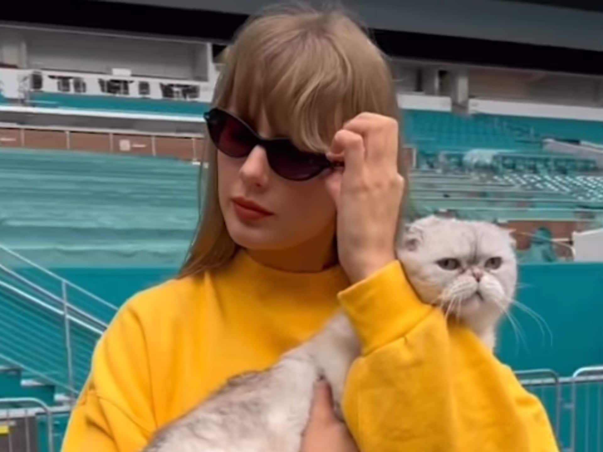 Taylor Swift and her cat Olivia Benson tease Miami Eras Tour