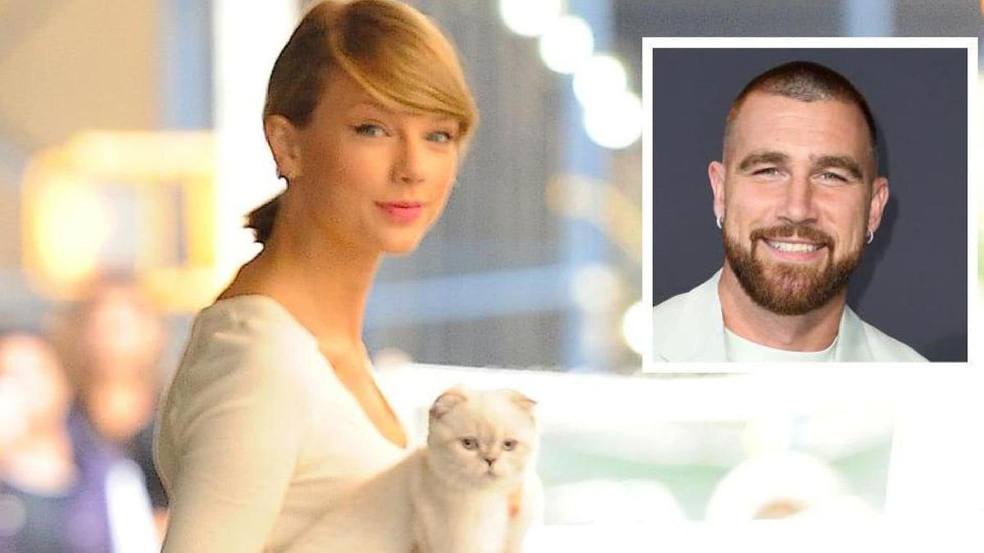 Does Taylor Swift’s cat have a higher net worth than Travis Kelce?