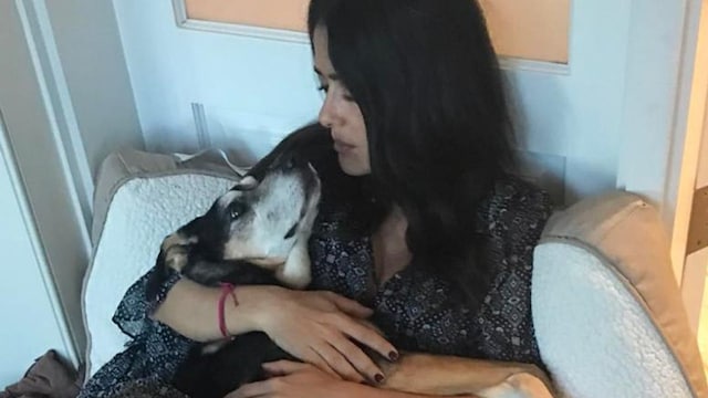 Salma Hayek shed tears for her dog Lupe