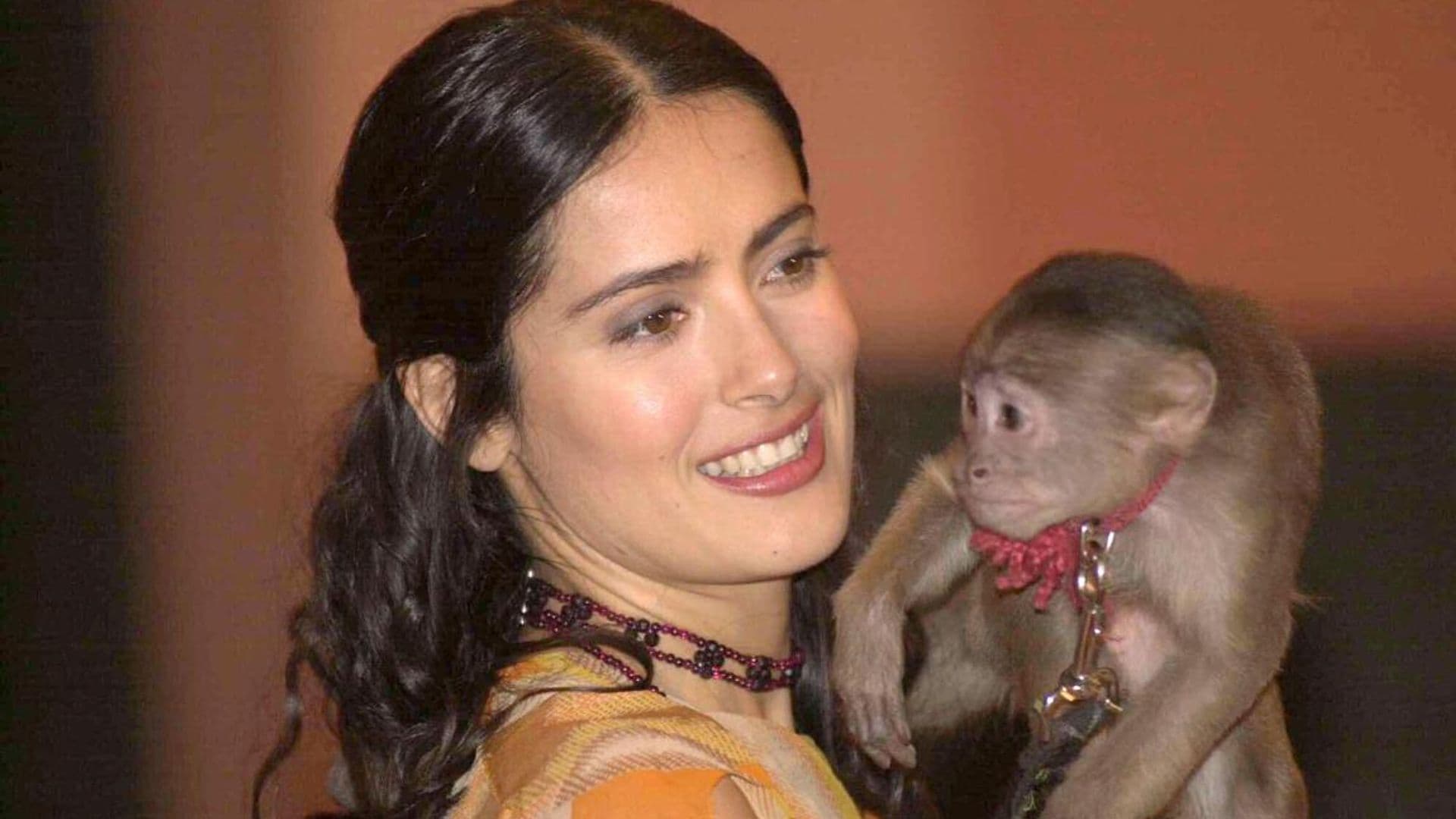 Salma Hayek ‘severely injured’ by monkey on movie set