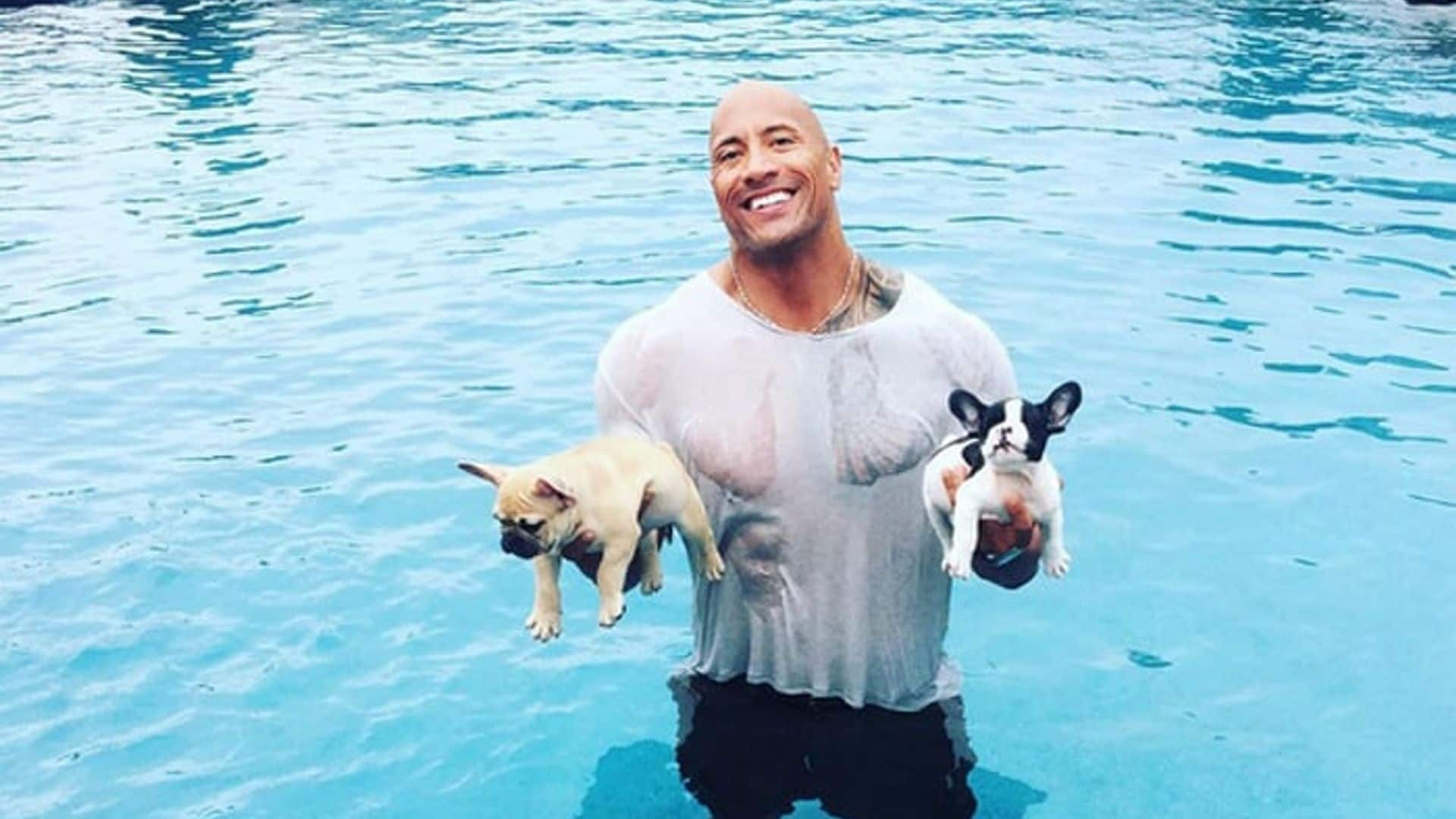 Dwayne ‘The Rock’ Johnson shares adorable video of puppy Brutus