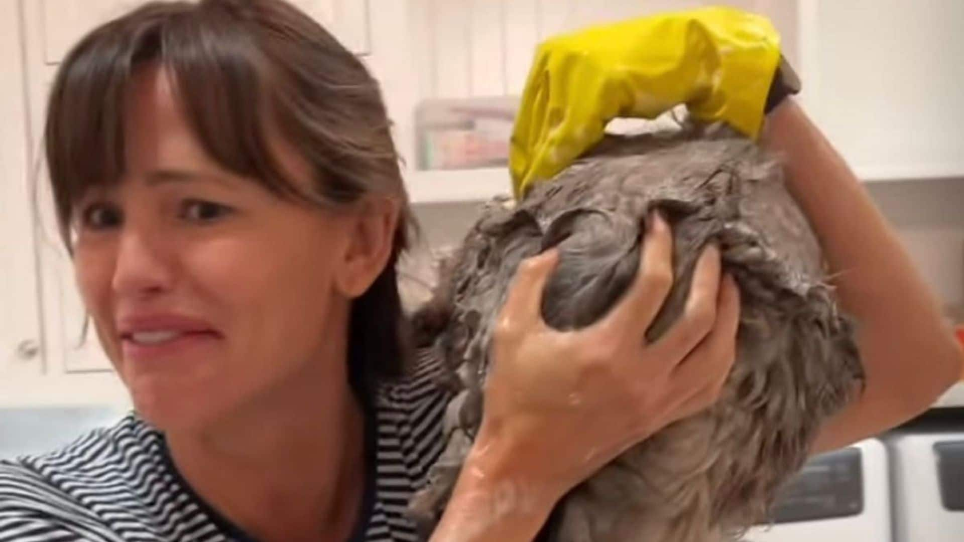 Jennifer Garner gives her cat Moose a bath and is left with battle wounds