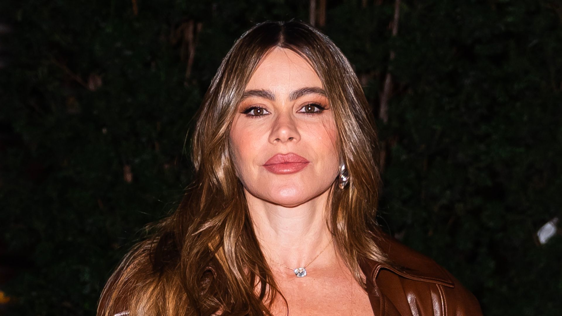 Sofia Vergara shares spicy #tbt after sharing relationship status