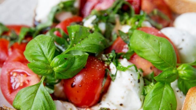 Caprese salad with buffalo mozzarella, tomatoes and basil