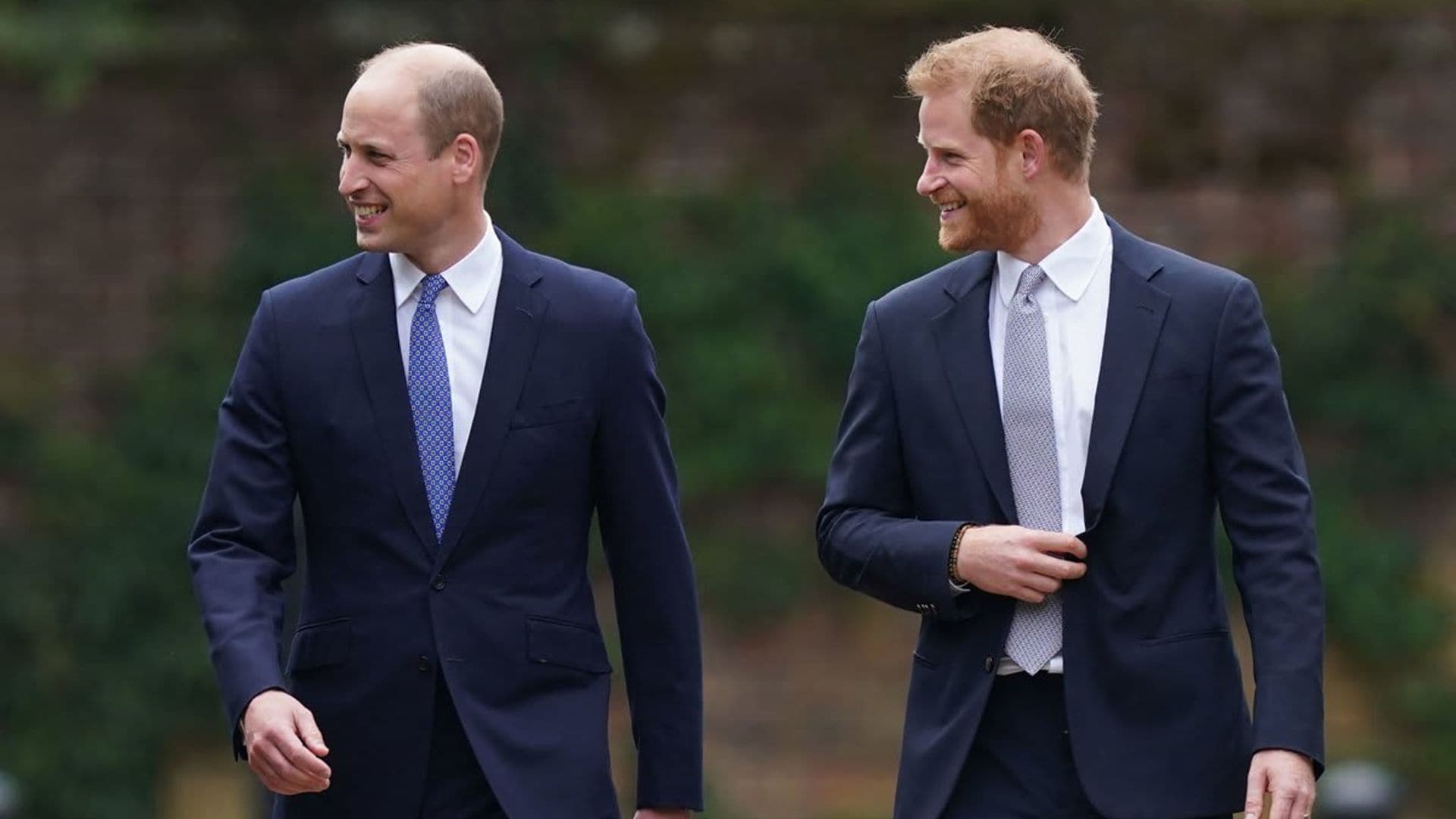 Brothers Prince William and Prince Harry reunite to honor mom Princess Diana