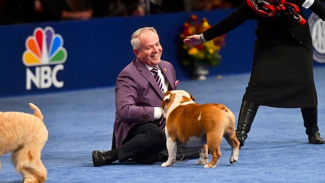 Canine Breeds Compete In National Dog Show Held Outside Of Philadelphia