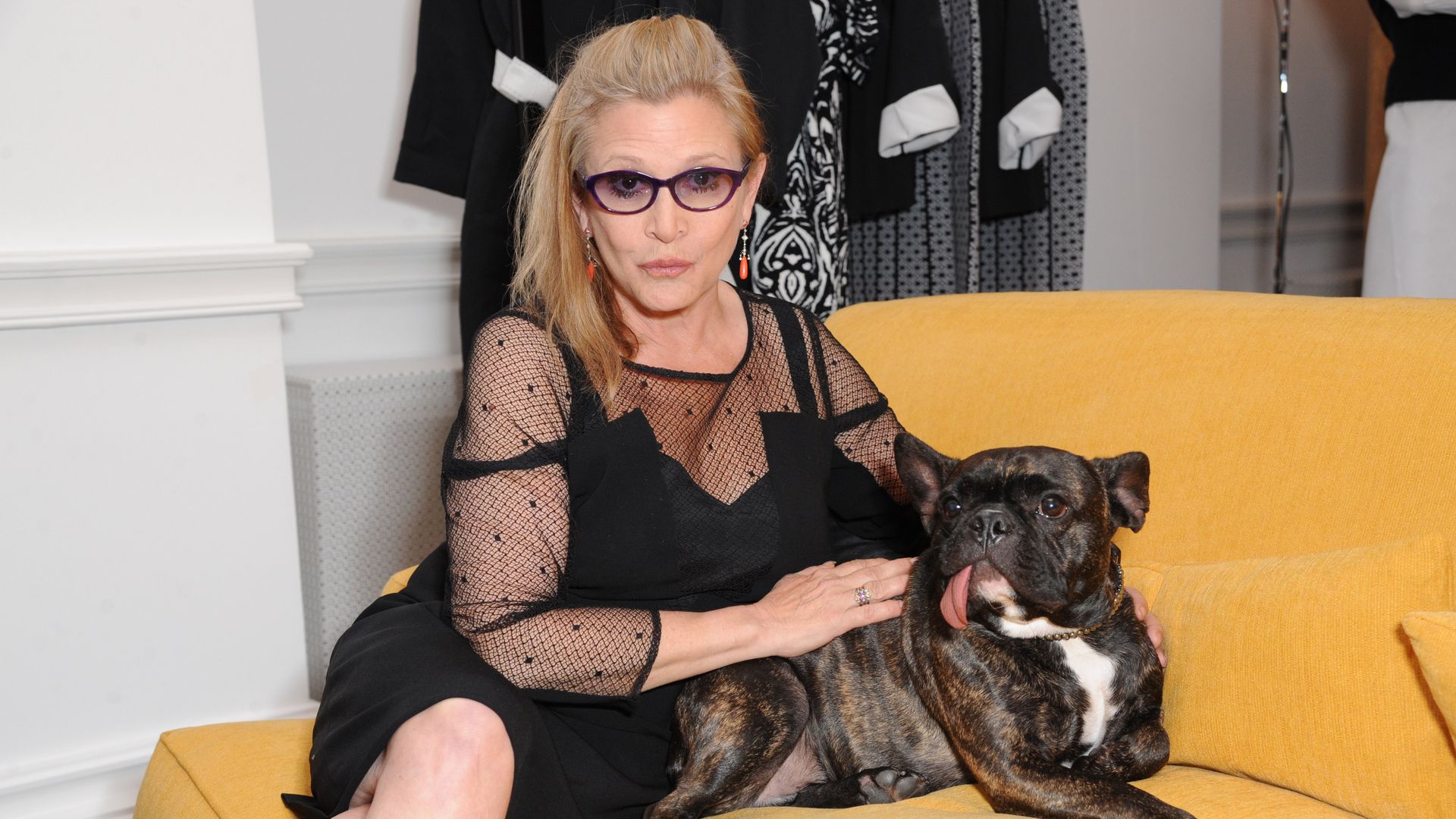 Pet of the week: Gary Fisher, Carrie Fisher's dog 'crossed the rainbow' to be with his mom