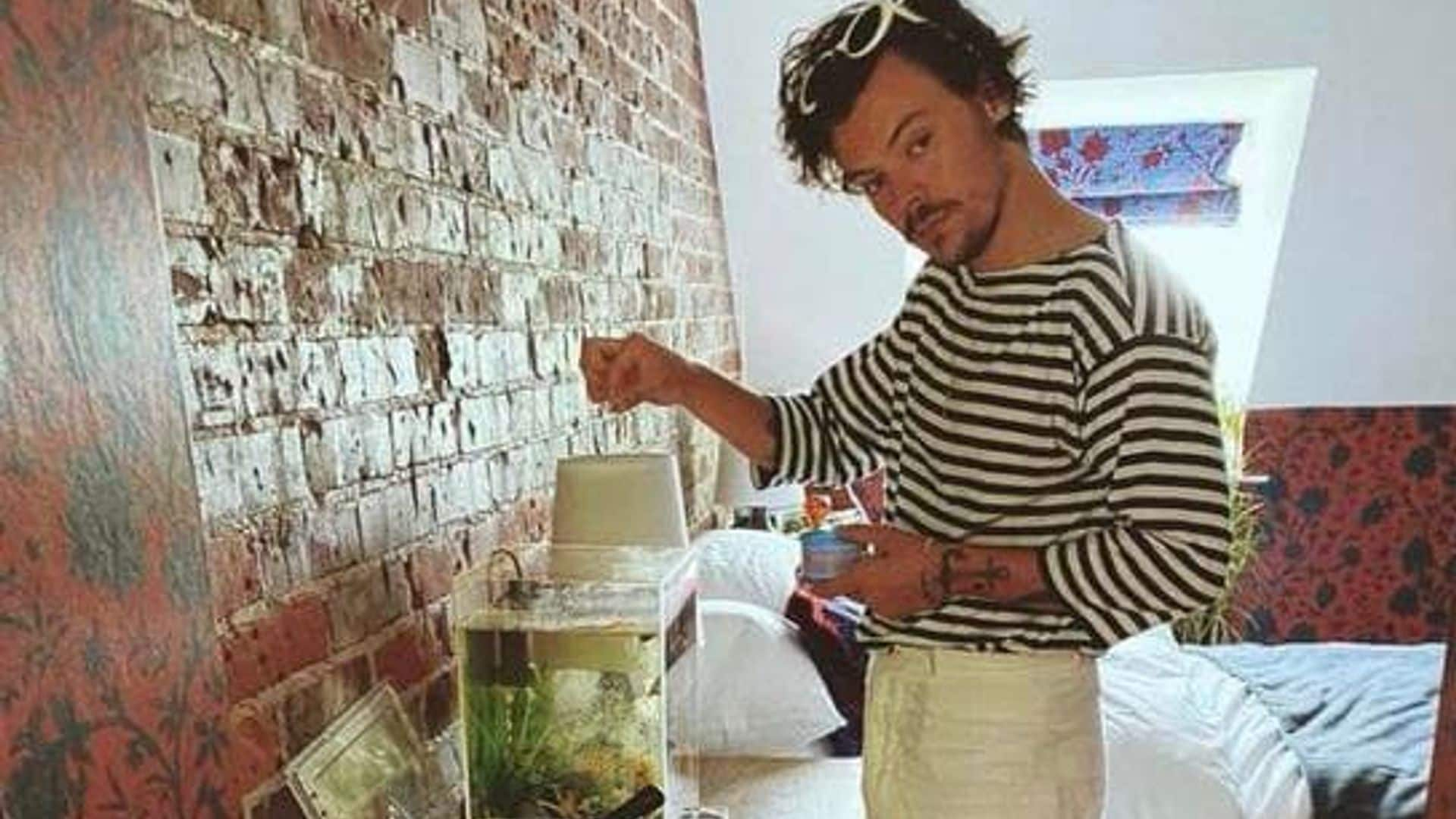 Harry Styles fed a fans fish and had tea with her dad after his car broke down